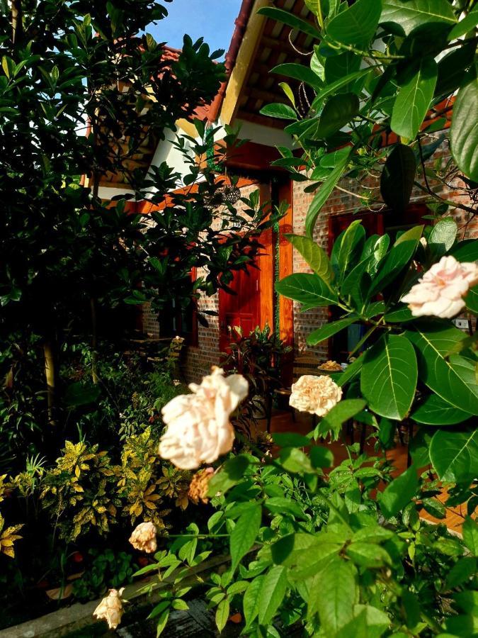 Tamcoc Mr. Cau Homestay Νιν Μπιν Εξωτερικό φωτογραφία